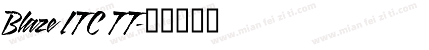 Blaze ITC TT字体转换